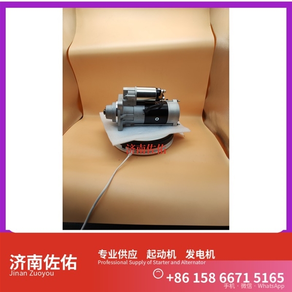 南宁E049361000002起动机08821095 发电机 Sany SR150 WP12