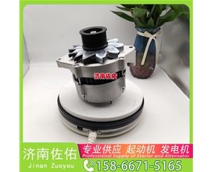 南宁4996707起动机JFZ270-0625 朝柴 XCMG XE17 4JG1 发电机